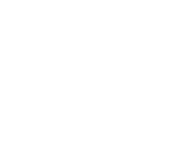 Radice Surveyors